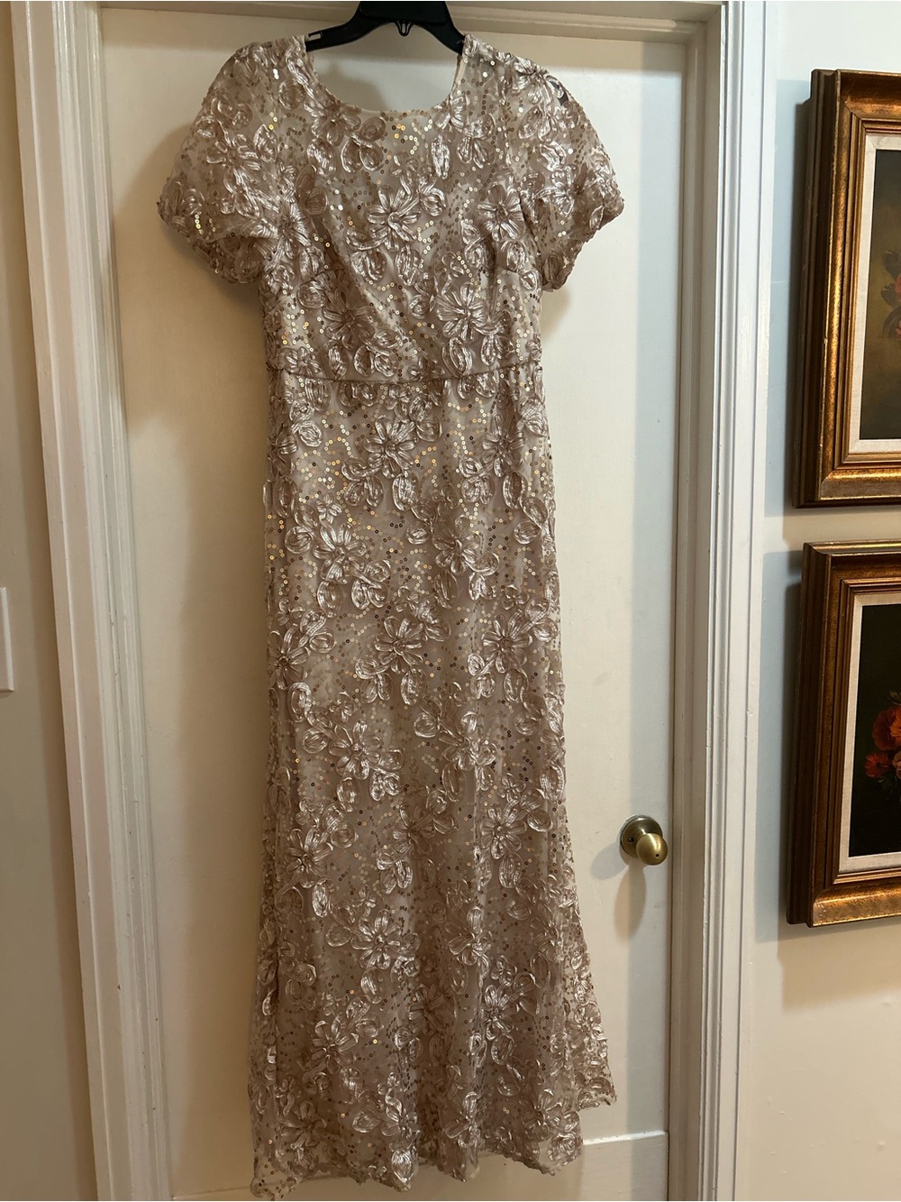 Stunning Elegant Sequin Lace Evening Dress - NWT Size 12